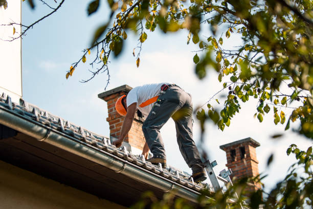 Quick and Trustworthy Emergency Roof Repair Services in Clarinda, IA