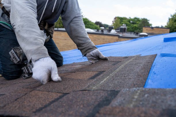 Best Emergency Roof Repair  in Clarinda, IA