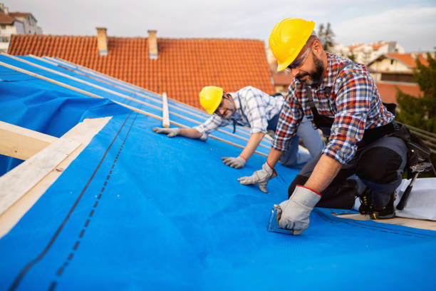 Best Metal Roofing Contractor  in Clarinda, IA