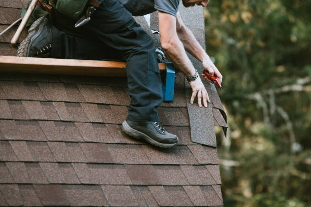 Best Commercial Roofing Services  in Clarinda, IA